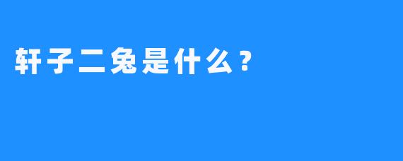 轩子二兔是什么？