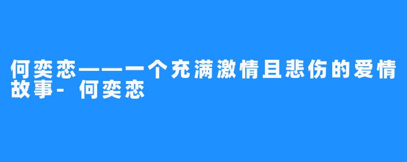 何奕恋——一个充满激情且悲伤的爱情故事-何奕恋