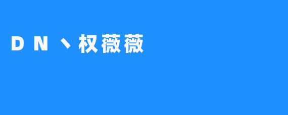 DN丶权薇薇