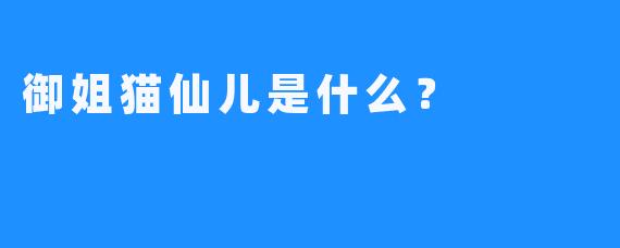 御姐猫仙儿是什么？