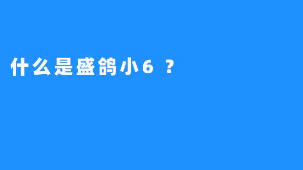 什么是盛鸽小6？