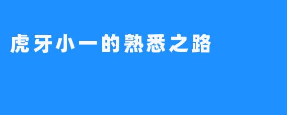 虎牙小一的熟悉之路 