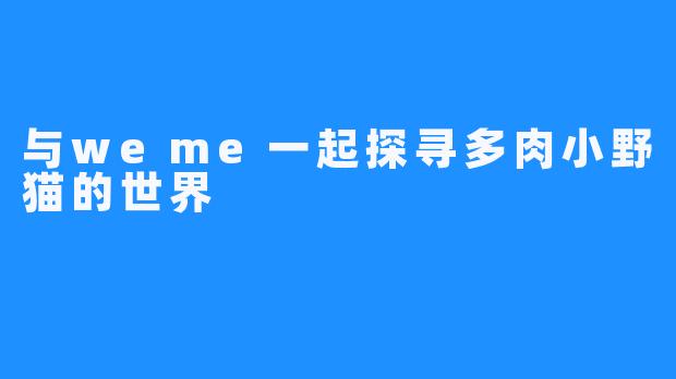 与weme一起探寻多肉小野猫的世界