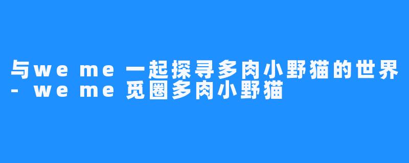 与weme一起探寻多肉小野猫的世界-weme觅圈多肉小野猫