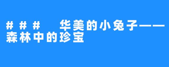 ### 华美的小兔子——森林中的珍宝