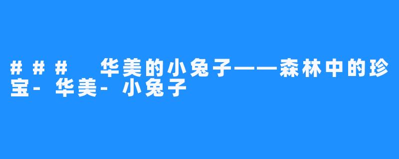 ### 华美的小兔子——森林中的珍宝-华美-小兔子