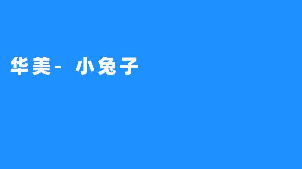 华美-小兔子