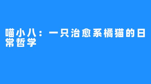 喵小八:一只治愈系橘猫的日常哲学