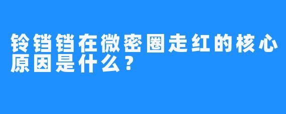 铃铛铛在微密圈走红的核心原因是什么？