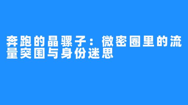 奔跑的晶骡子：微密圈里的流量突围与身份迷思