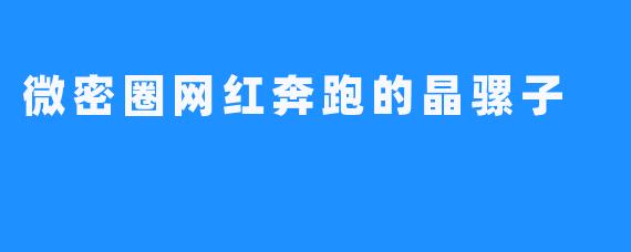 微密圈网红奔跑的晶骡子