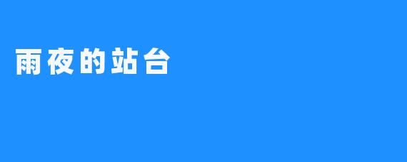 雨夜的站台