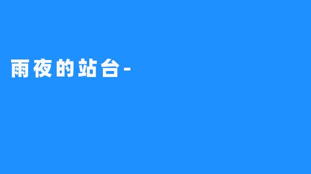 雨夜的站台-