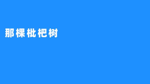 那棵枇杷树